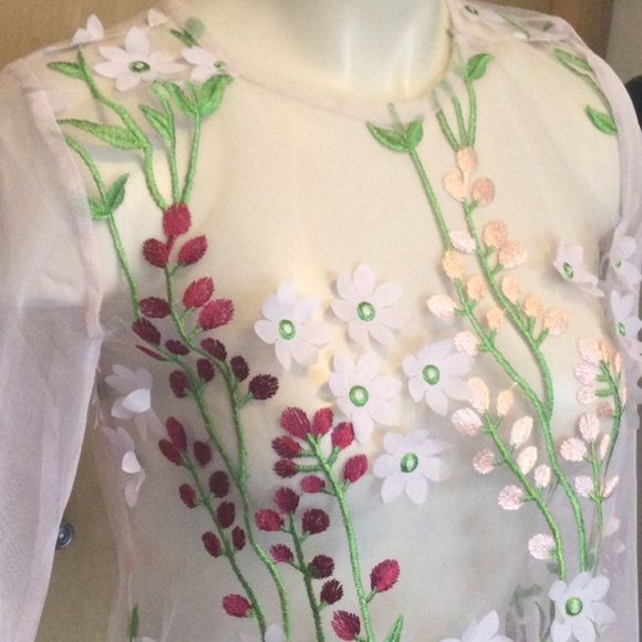 Zara blush sheer tulle mesh floral embroidered top - Picture 5 of 14